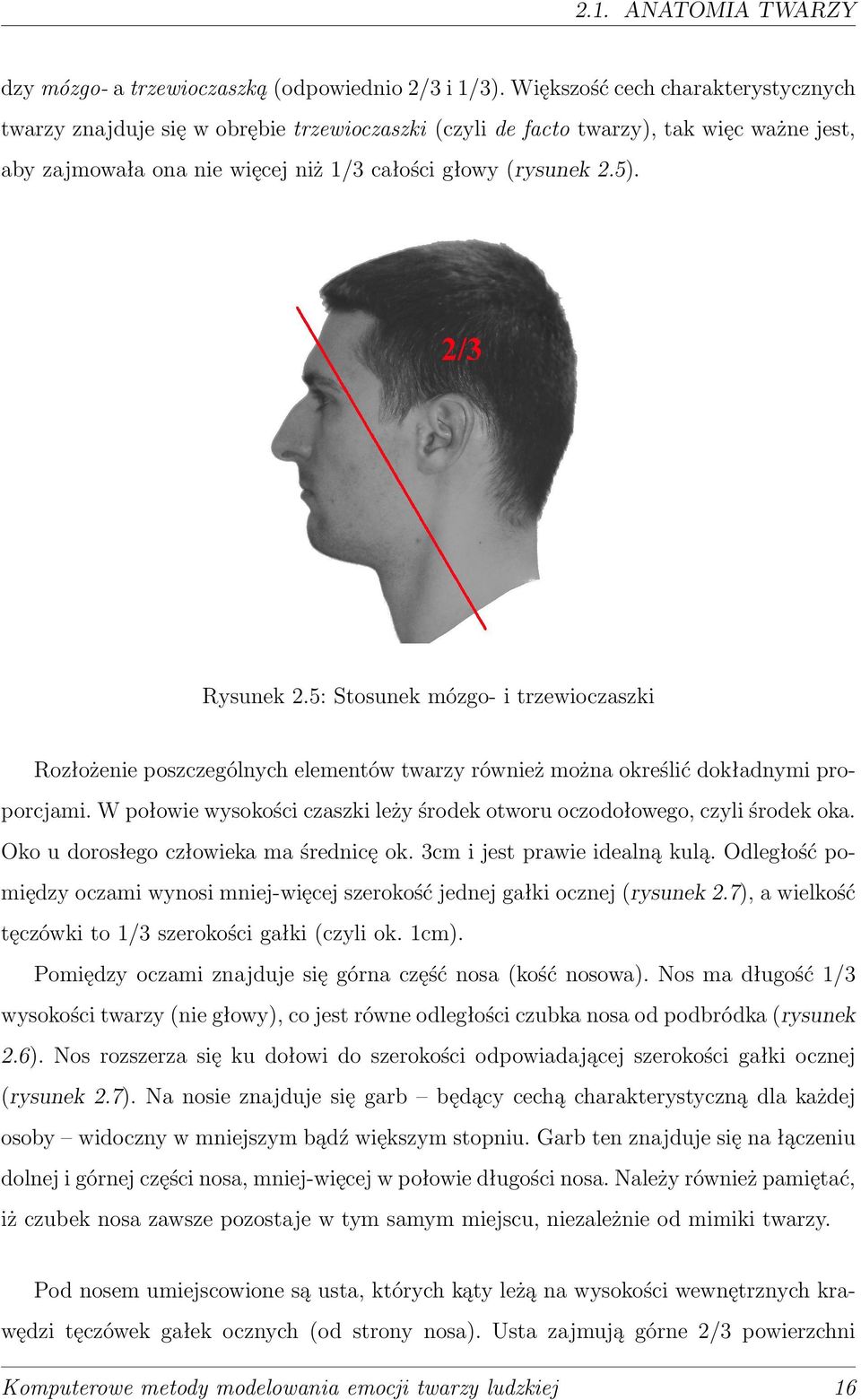 Rysunek 2.5: Stosunek mózgo- i trzewioczaszki Rozłożenie poszczególnych elementów twarzy również można określić dokładnymi proporcjami.