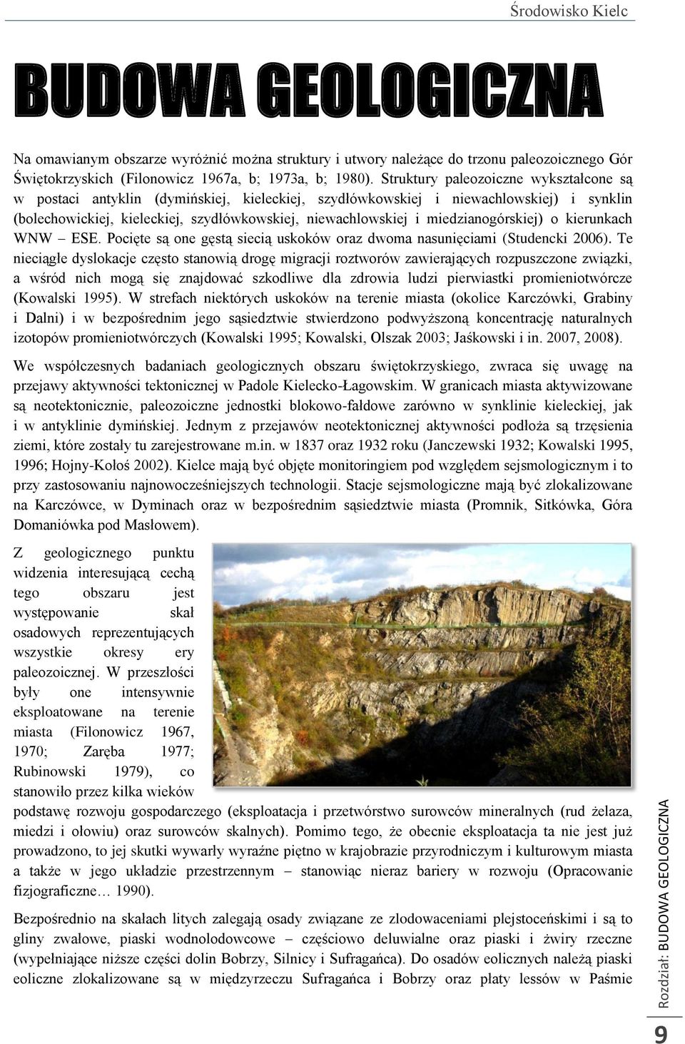 miedzianogórskiej) o kierunkach WNW ESE. Pocięte są one gęstą siecią uskoków oraz dwoma nasunięciami (Studencki 2006).