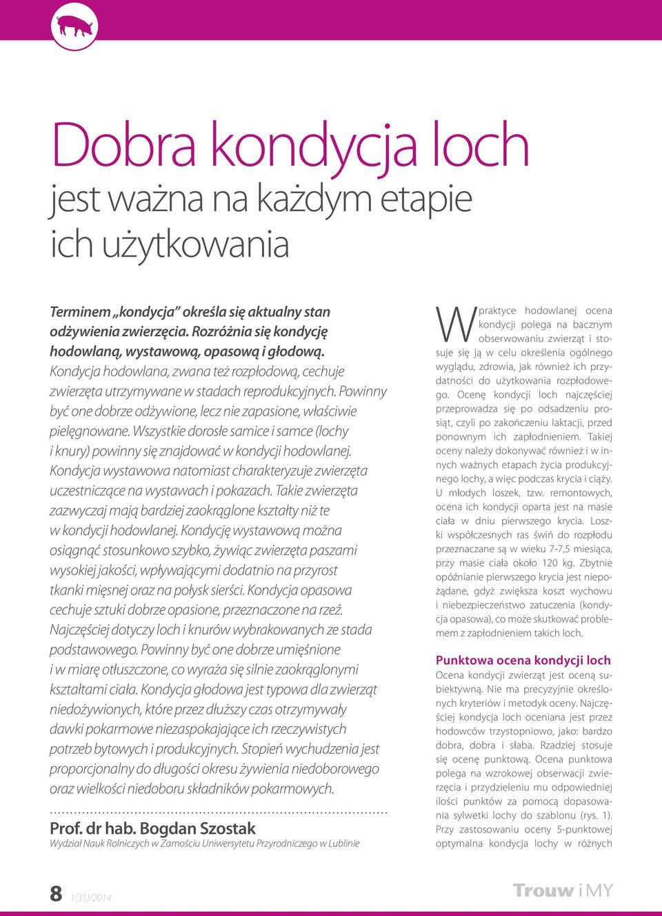 Wszystkie dorosłe samice i samce (lochy i knury) powinny się znajdować w kondycji hodowlanej. Kondycja wystawowa natomiast charakteryzuje zwierzęta uczestniczące na wystawach i pokazach.