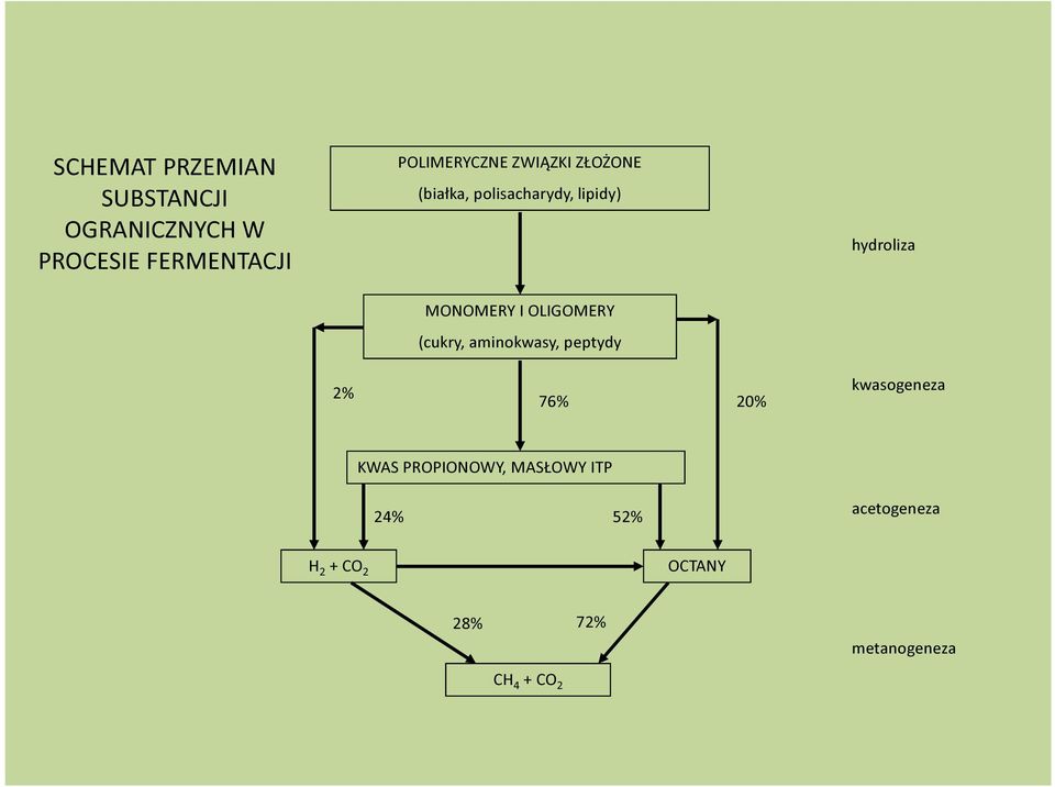 aminokwasy, peptydy hydroliza 2% 76% 20% kwasogeneza KWAS PROPIONOWY,