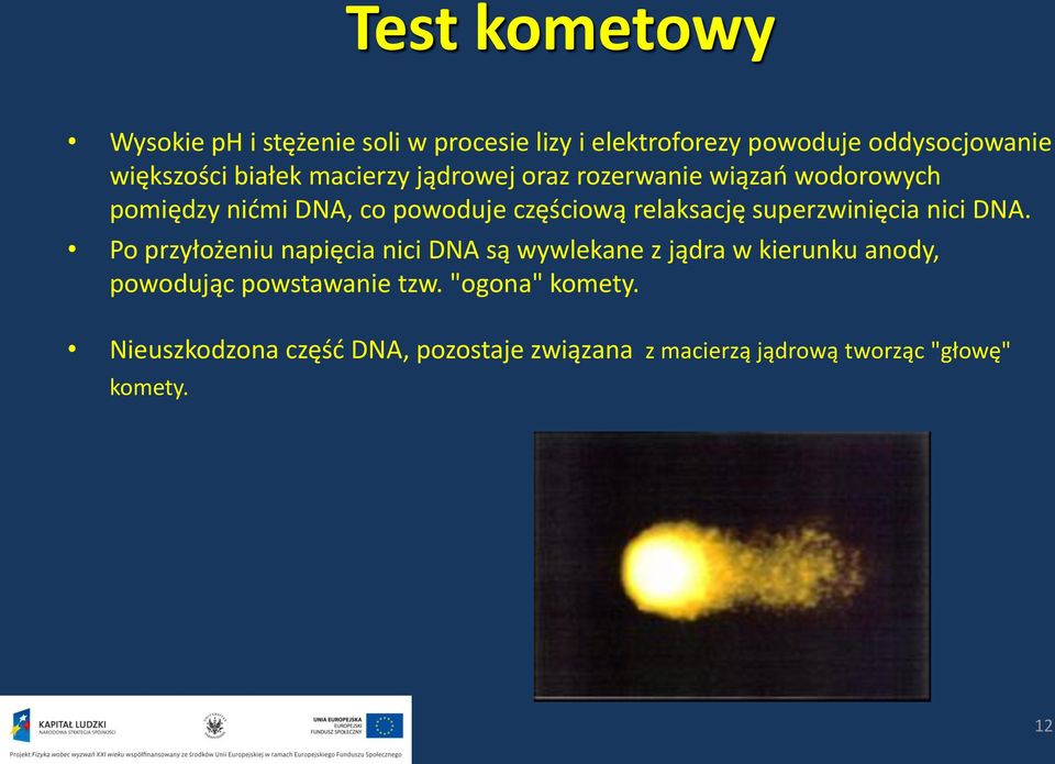 superzwinięcia nici DNA.