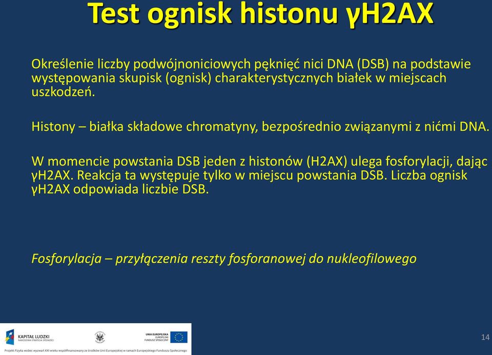 Histony białka składowe chromatyny, bezpośrednio związanymi z nićmi DNA.