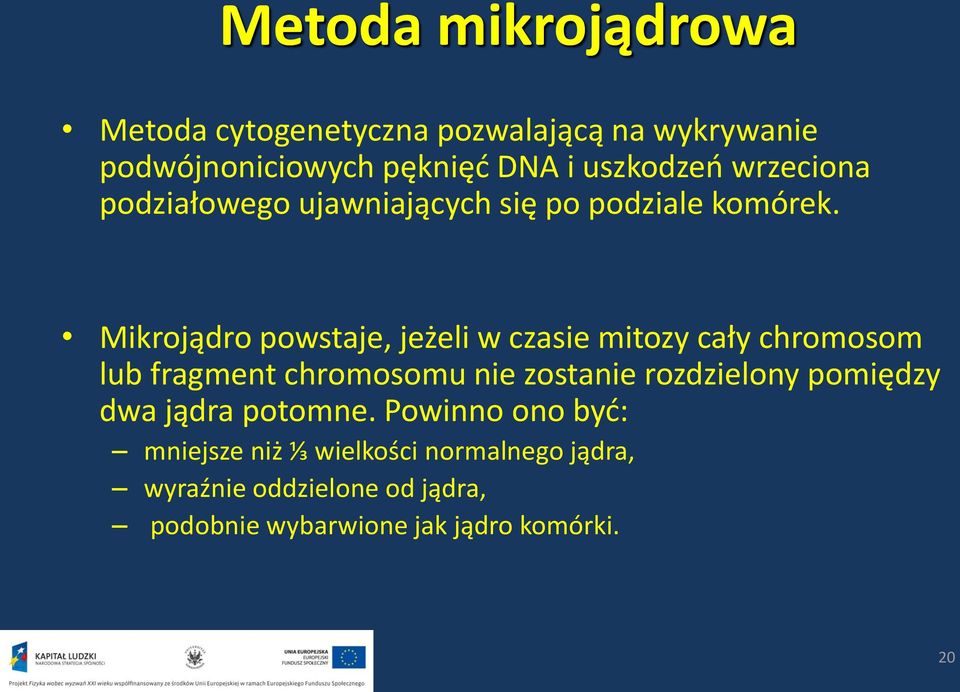 Mikrojądro powstaje, jeżeli w czasie mitozy cały chromosom lub fragment chromosomu nie zostanie rozdzielony