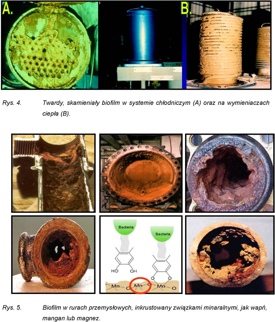 (A) oraz na wymieniaczach ciepła (B). Rys. 5.