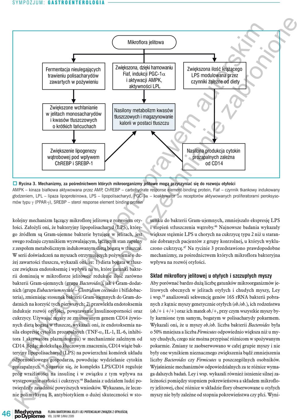 kalorii w postaci tłuszczu Zwiększona ilość krążącego LPS modulowana przez czynniki zależne od diety Nasilona produkcja cytokin prozapalnych zależna od CD14 Rycina 3.