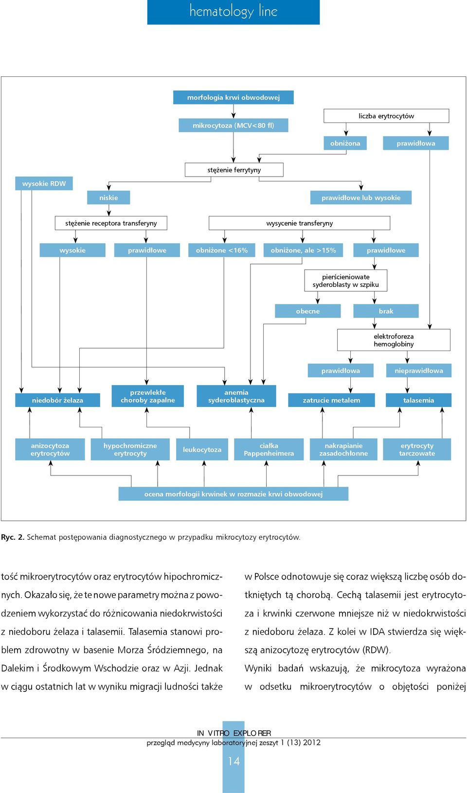 przewlekłe choroby zapalne anemia syderoblastyczna zatrucie metalem talasemia anizocytoza erytrocytów hypochromiczne erytrocyty leukocytoza ciałka Pappenheimera nakrapianie zasadochłonne erytrocyty