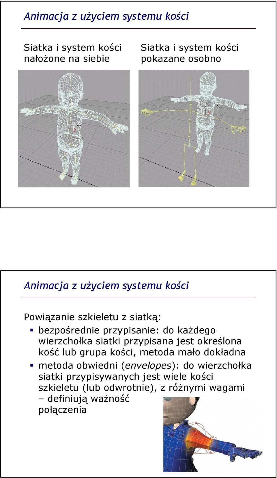 siatki przypisana jest określona kość lub grupa kości, metoda mało dokładna metoda obwiedni (envelopes): do