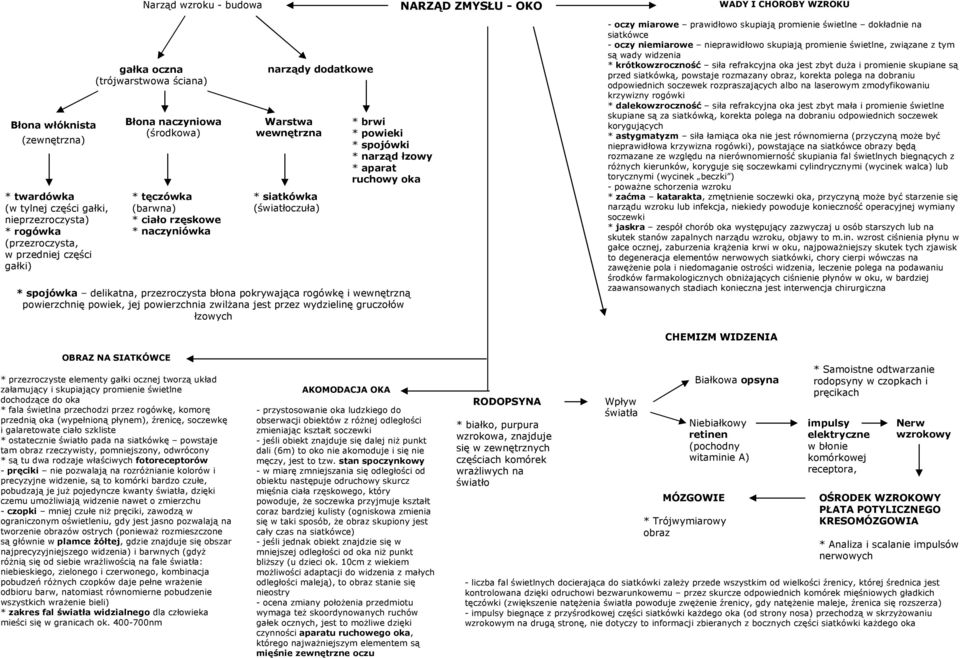 spojówki * narząd łzowy * aparat ruchowy oka * spojówka delikatna, przezroczysta błona pokrywająca rogówkę i wewnętrzną powierzchnię powiek, jej powierzchnia zwilżana jest przez wydzielinę gruczołów
