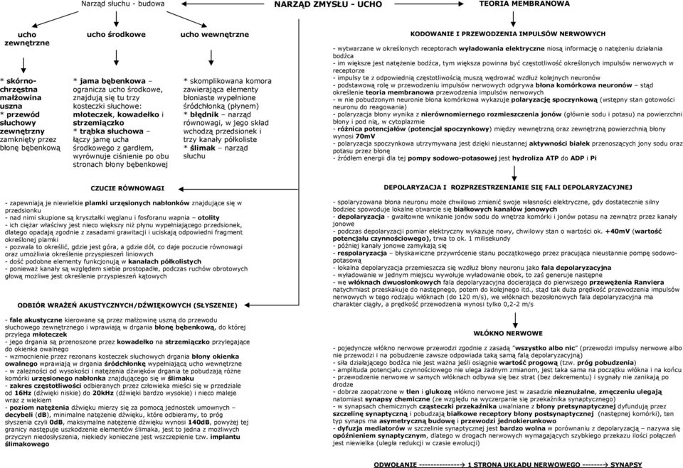 stronach błony bębenkowej ucho wewnętrzne * skomplikowana komora zawierająca elementy błoniaste wypełnione śródchłonką (płynem) * błędnik narząd równowagi, w jego skład wchodzą przedsionek i trzy