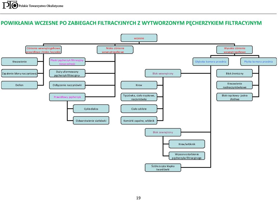 filtracyjny- Blok wewnętrzny Blok źreniczny Dellen Odłączenie naczyniówki Krew Krwawienie nadnaczyniówkowe Prawidłowy pęcherzyk Tęczówka, ciało rzęskowe, naczyniówka Blok rzęskowy- jaskra