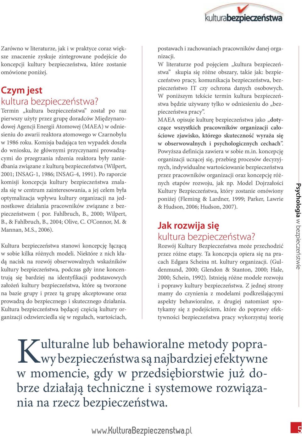 Komisja badająca ten wypadek doszła do wniosku, że głównymi przyczynami prowadzącymi do przegrzania rdzenia reaktora były zaniedbania związane z kulturą bezpieczeństwa (Wilpert, 2001; INSAG-1, 1986;