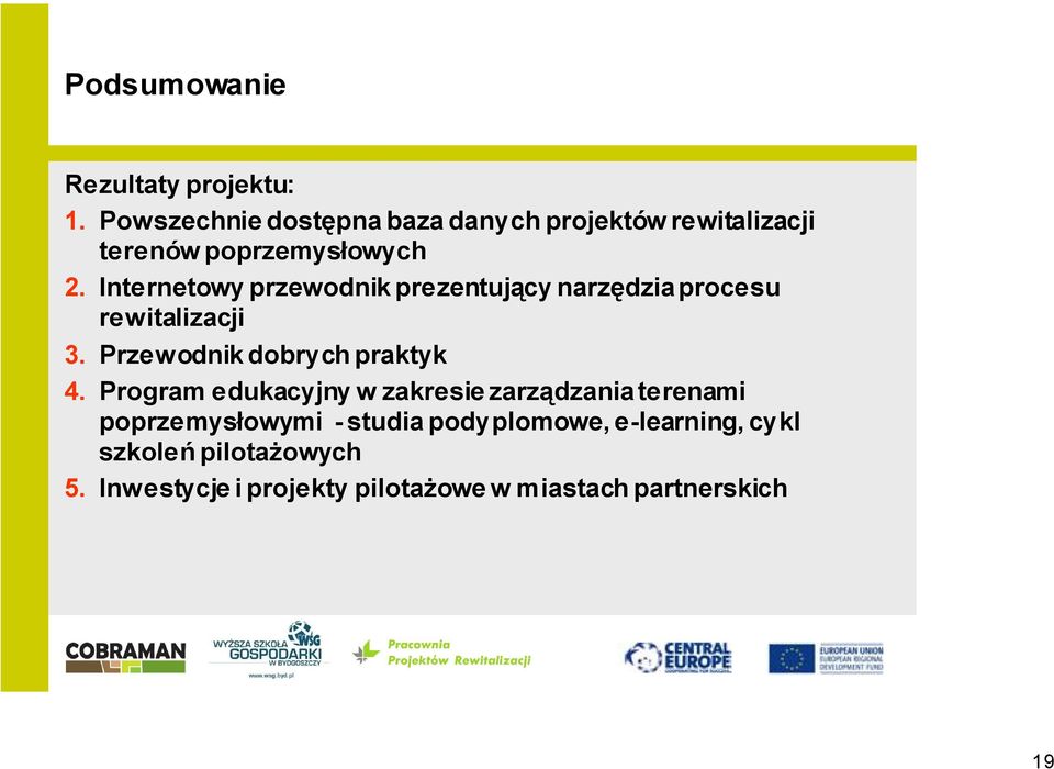 Internetowy przewodnik prezentujący narzędzia procesu rewitalizacji 3. Przewodnik dobrych praktyk 4.