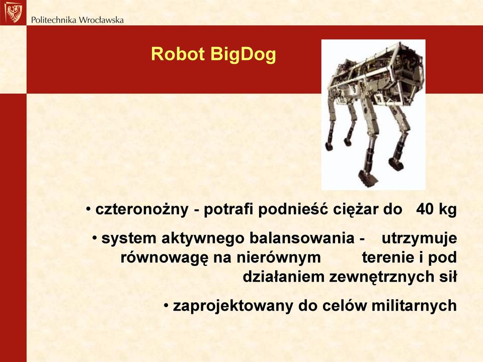 równowagę na nierównym terenie i pod działaniem