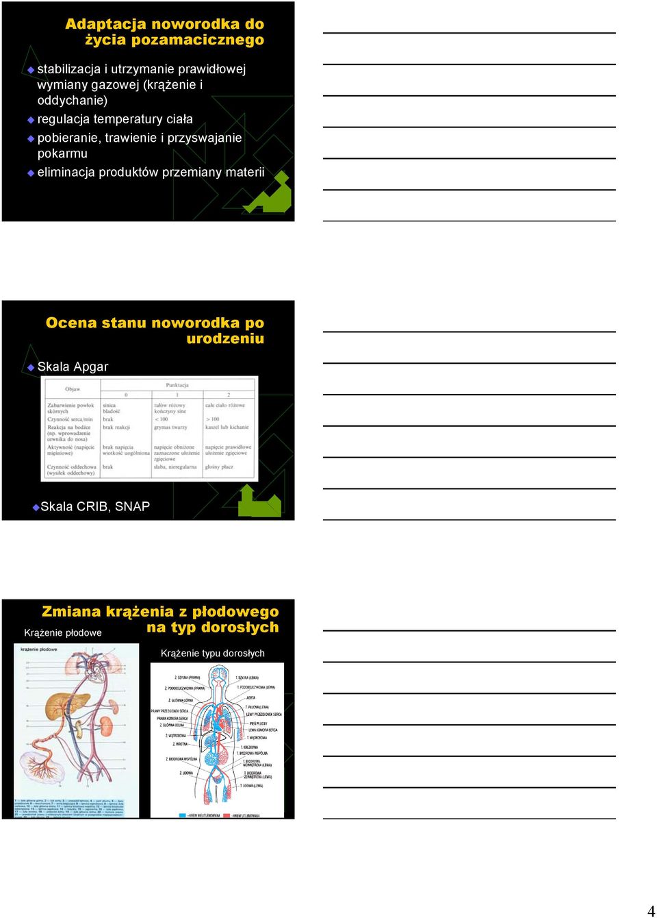 pokarmu eliminacja produktów przemiany materii Ocena stanu noworodka po urodzeniu Skala Apgar