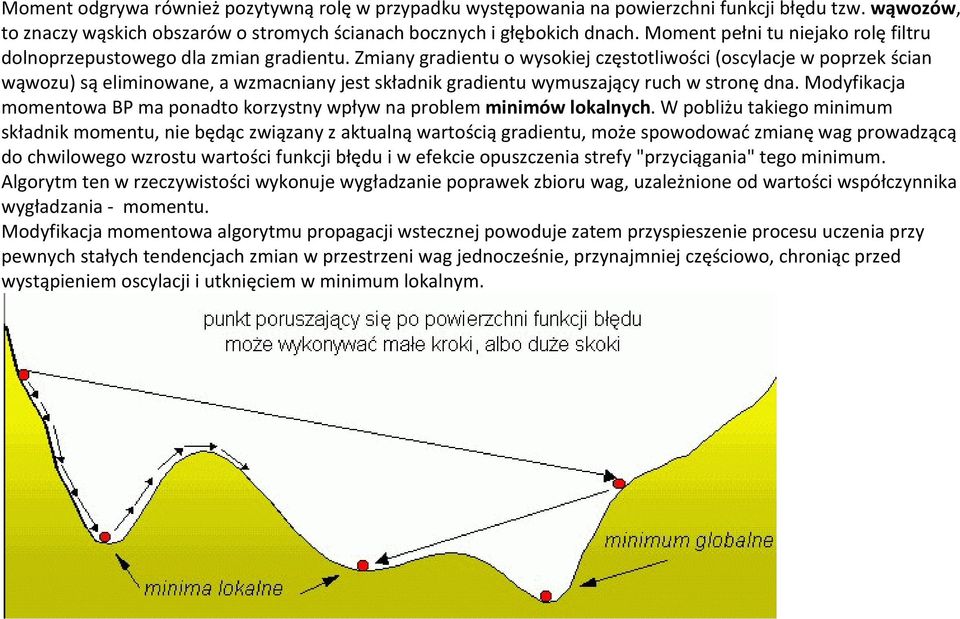 Zmiany gradientu o wysokiej częstotliwości (oscylacje w poprzek ścian wąwozu) są eliminowane, a wzmacniany jest składnik gradientu wymuszający ruch w stronę dna.