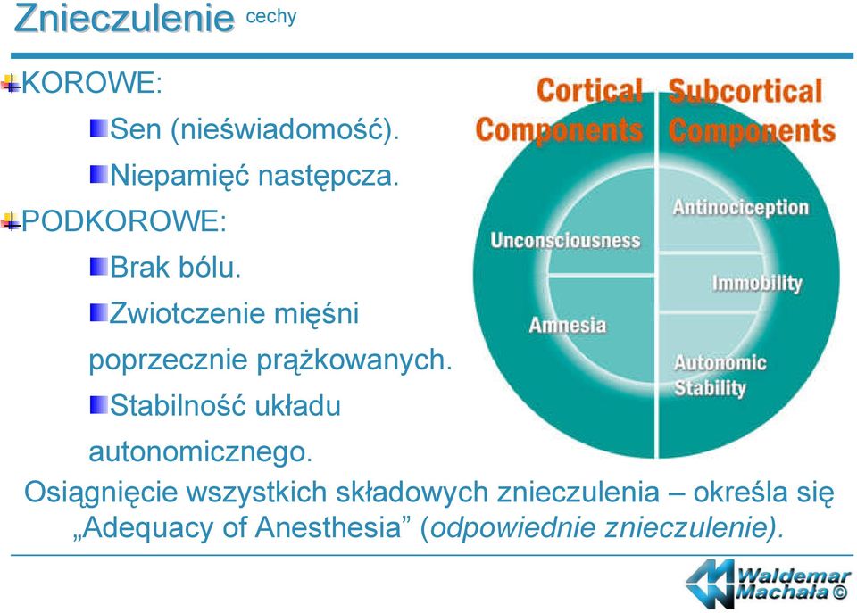 Stabilność układu autonomicznego.