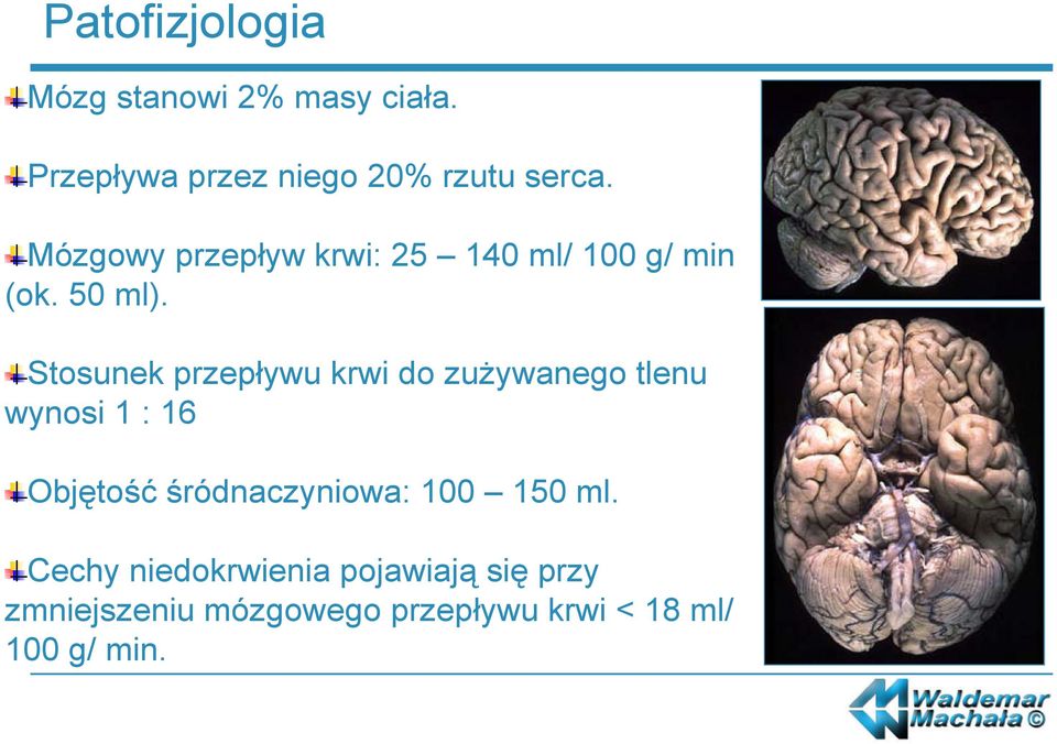 Stosunek przepływu krwi do zużywanego tlenu wynosi 1 : 16 Objętość śródnaczyniowa: