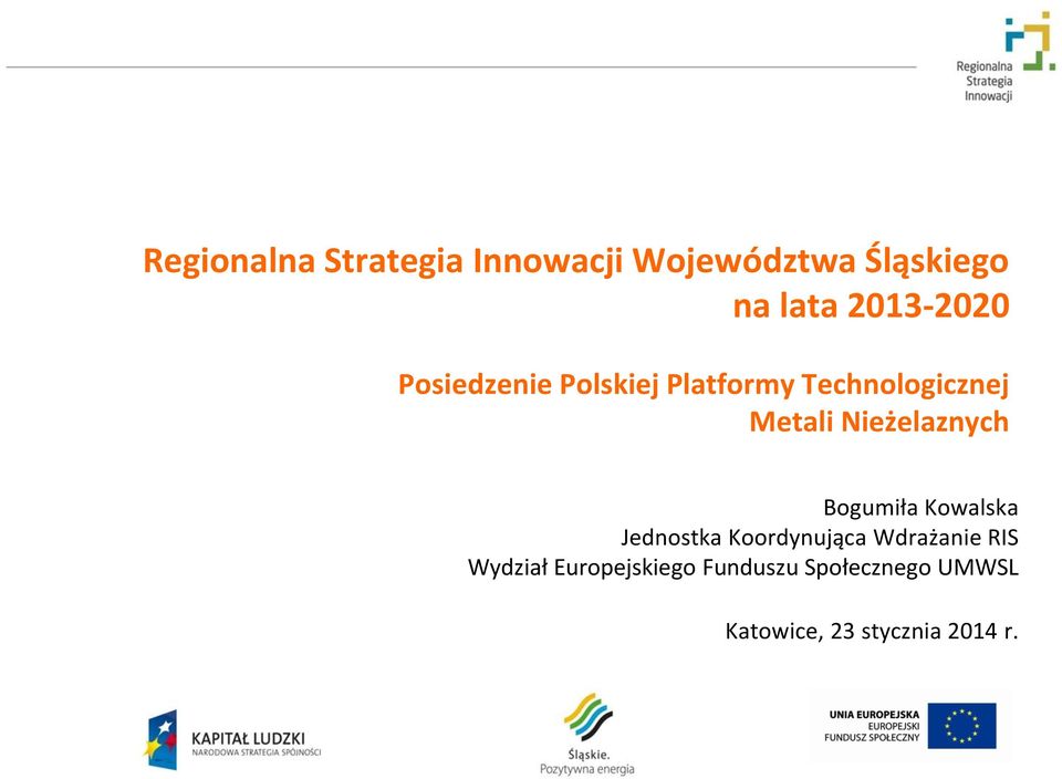 Nieżelaznych Bogumiła Kowalska Jednostka Koordynująca Wdrażanie RIS