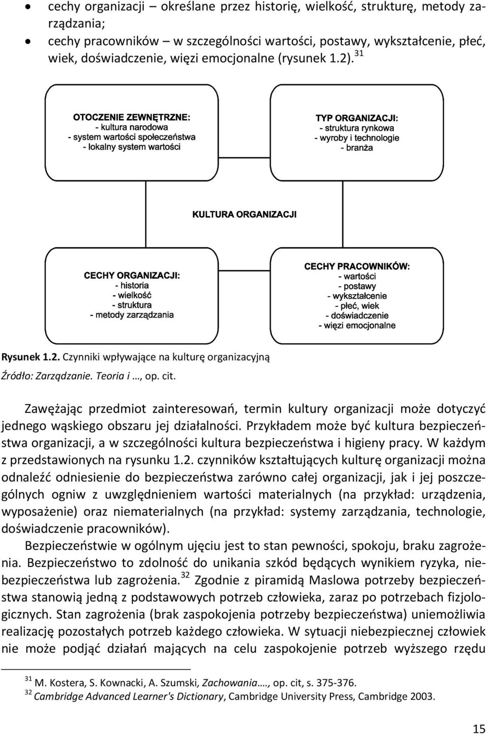 Zawężając przedmiot zainteresowań, termin kultury organizacji może dotyczyć jednego wąskiego obszaru jej działalności.