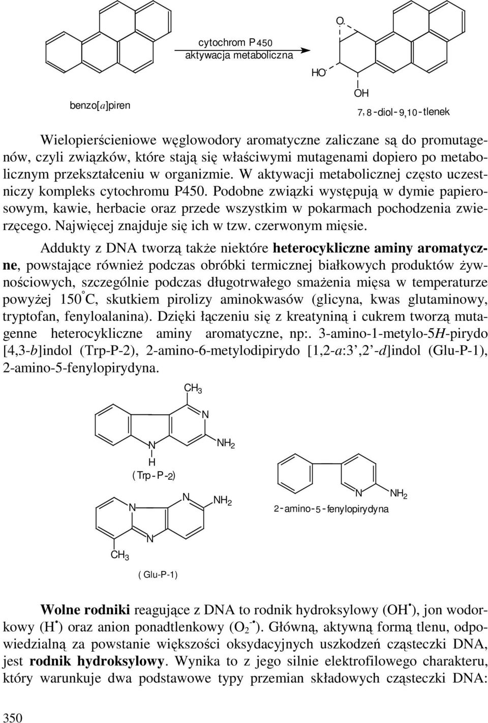 Podobne związki występują w dymie papierosowym, kawie, herbacie oraz przede wszystkim w pokarmach pochodzenia zwierzęcego. ajwięcej znajduje się ich w tzw. czerwonym mięsie.