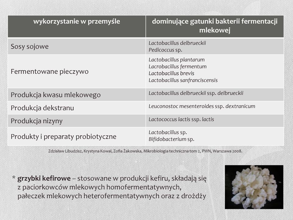 delbrueckii Leuconostoc mesenteroides ssp. dextranicum Lactococcus lactis ssp. lactis Lactobacillus sp. Bifidobacterium sp.