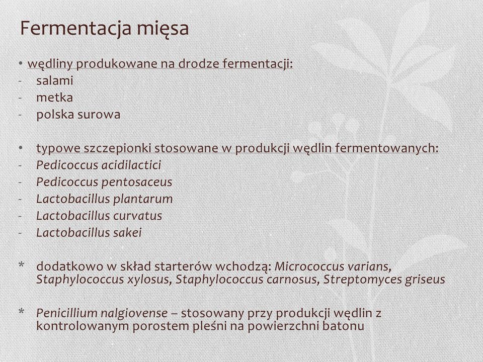 curvatus - Lactobacillus sakei * dodatkowo w skład starterów wchodzą: Micrococcus varians, Staphylococcus xylosus, Staphylococcus