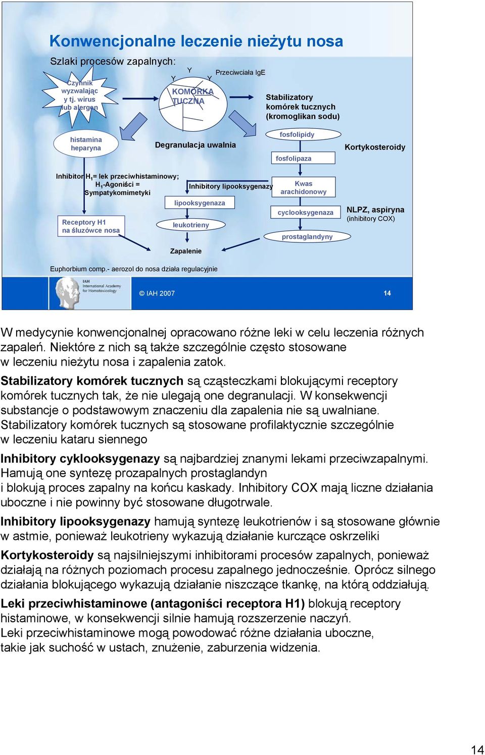 = lek przeciwhistaminowy; H 1 -Agoniści = Inhibitory lipooksygenazy Sympatykomimetyki lipooksygenaza Receptory H1 na śluzówce nosa leukotrieny Zapalenie Kwas arachidonowy cyclooksygenaza