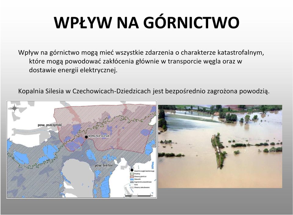 transporcie węgla oraz w dostawie energii elektrycznej.