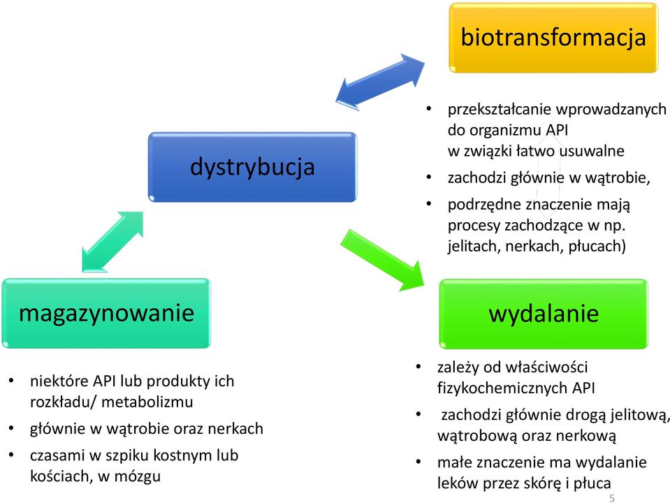 jelitach, nerkach, płucach) wydalanie niektóre API lub produkty ich rozkładu/ metabolizmu głównie w wątrobie oraz nerkach czasami