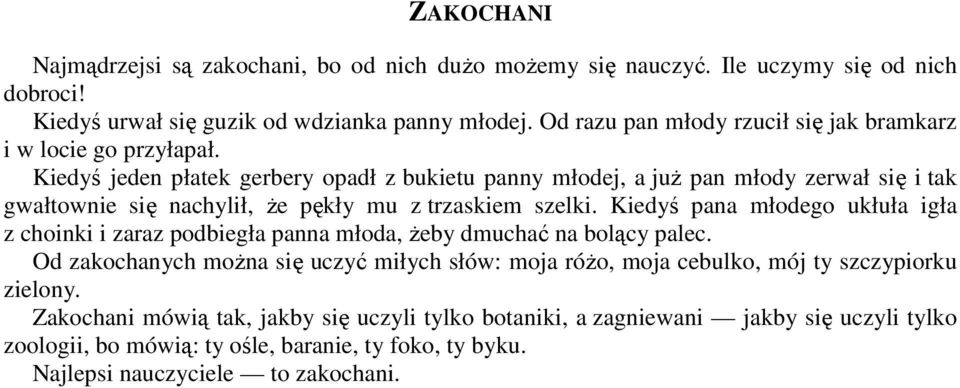 Kiedyś jeden płatek gerbery opadł z bukietu panny młodej, a już pan młody zerwał się i tak gwałtownie się nachylił, że pękły mu z trzaskiem szelki.