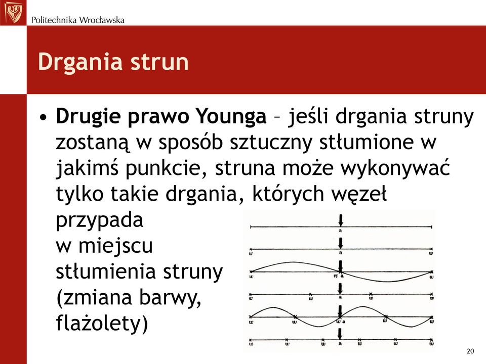 struna może wykonywać tylko takie drgania, których węzeł