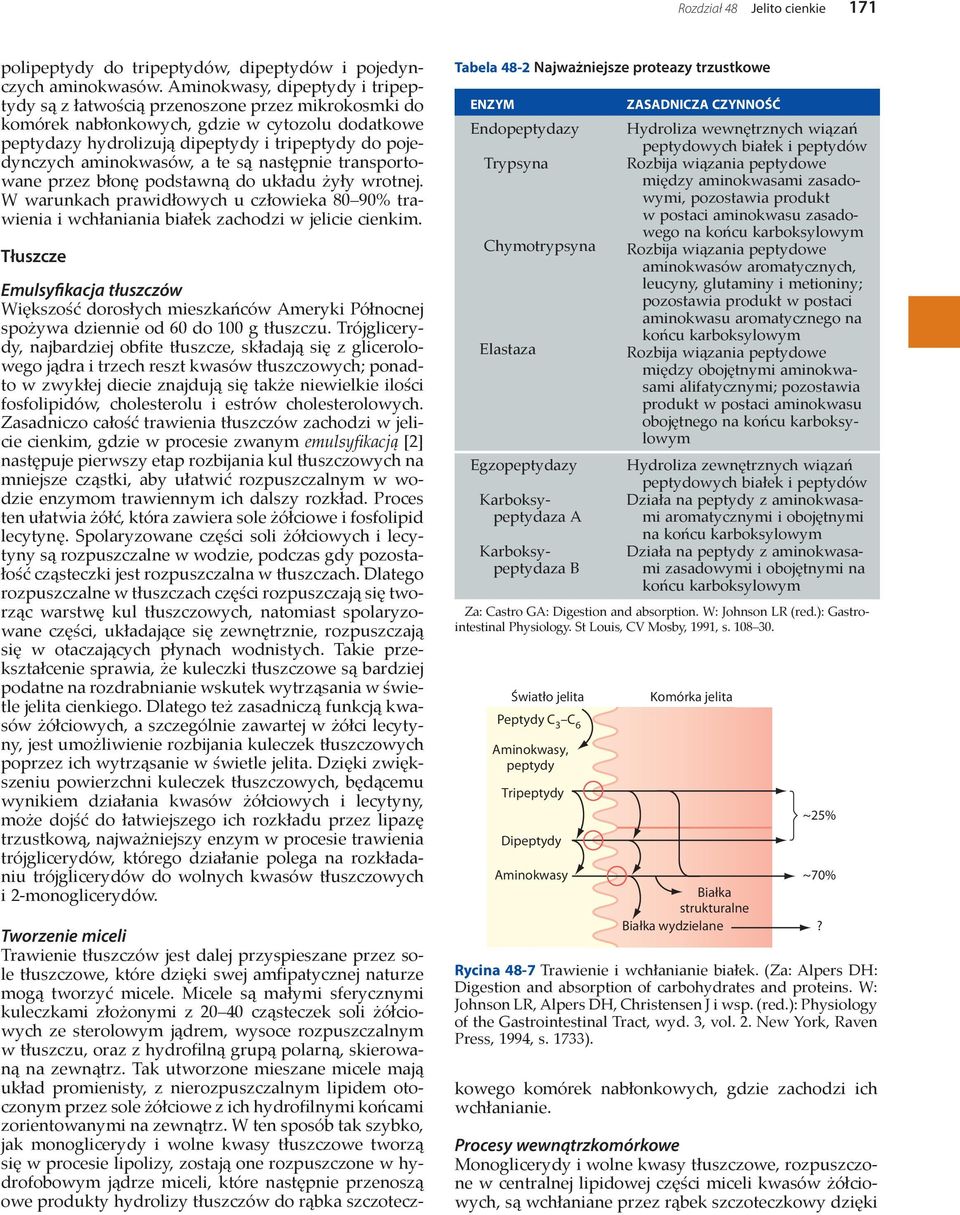 aminokwasów, a te są następnie transportowane przez błonę podstawną do układu żyły wrotnej. W warunkach prawidłowych u człowieka 80 90% trawienia i wchłaniania białek zachodzi w jelicie cienkim.