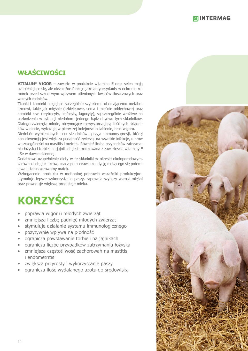 Tkanki i komórki ulegające szczególnie szybkiemu utleniającemu metabolizmowi, takie jak mięśnie (szkieletowe, serca i mięśnie oddechowe) oraz komórki krwi (erytrocyty, limfocyty, fagocyty), są