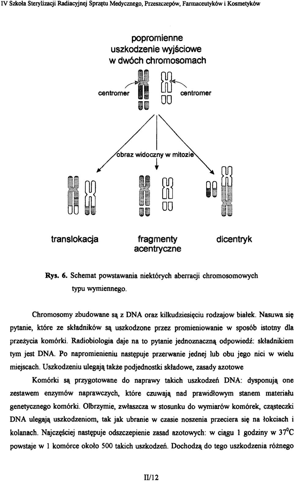 Nasuwa się pytanie, które ze składników są uszkodzone przez promieniowanie w sposób istotny dla przeżycia komórki. Radiobiologia daje na to pytanie jednoznaczną odpowiedź: składnikiem tym jest DNA.