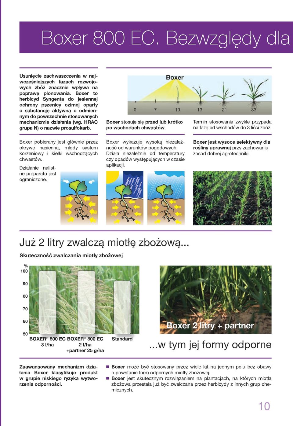 Boxer 0 7 10 13 21 33 Boxer stosuje się przed lub krótko po wschodach chwastów. Termin stosowania zwykle przypada na fazę od wschodów do 3 liści zbóż.