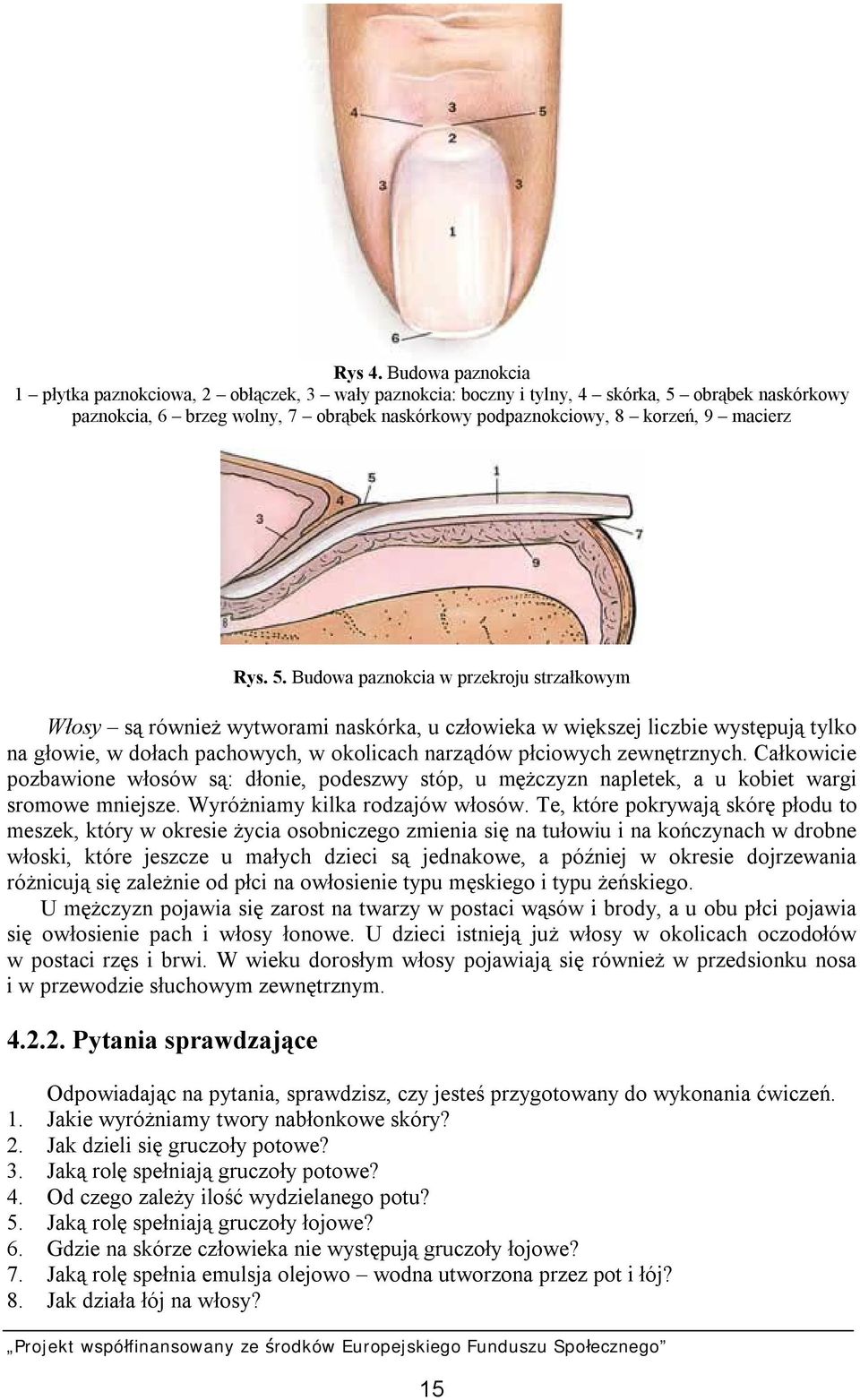 Rys. 5.