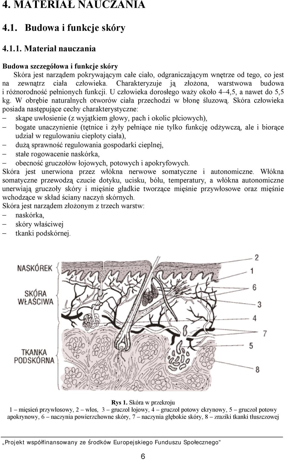 W obrębie naturalnych otworów ciała przechodzi w błonę śluzową.