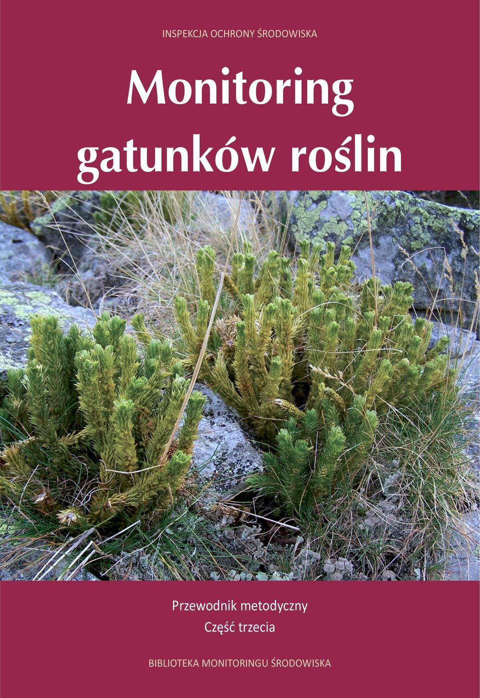 Przewodnik metodyczny Część