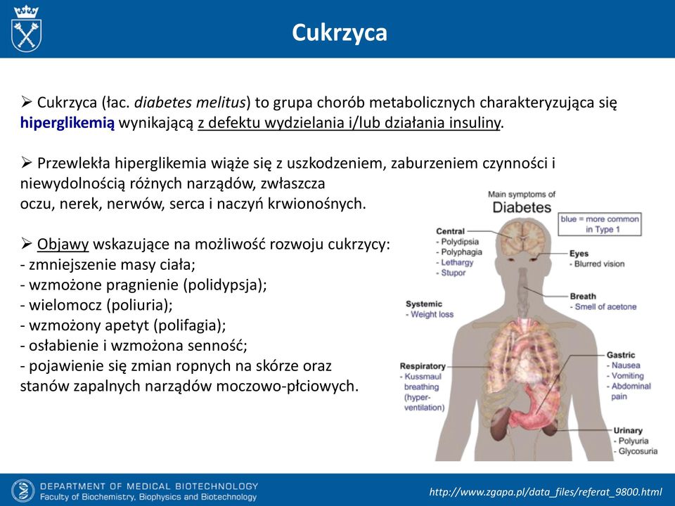 Objawy wskazujące na możliwość rozwoju cukrzycy: - zmniejszenie masy ciała; - wzmożone pragnienie (polidypsja); - wielomocz (poliuria); - wzmożony apetyt (polifagia); -