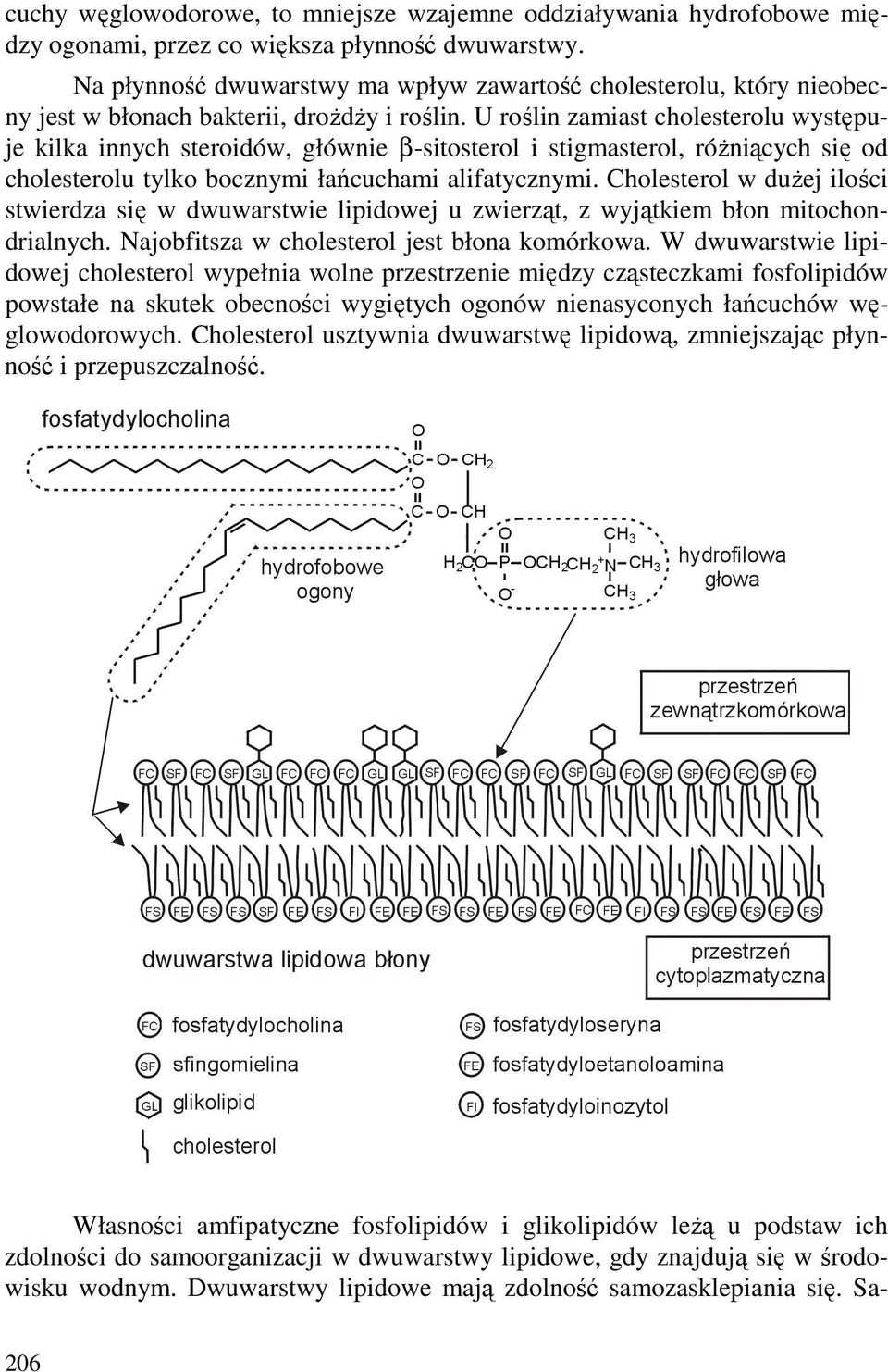 U roślin zamiast cholesterolu występuje kilka innych steroidów, głównie β-sitosterol i stigmasterol, róŝniących się od cholesterolu tylko bocznymi łańcuchami alifatycznymi.