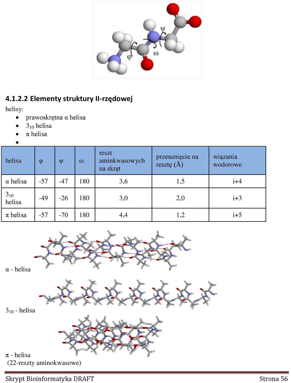 ψ ω reszt aminkwasowych na skręt przesunięcie na resztę (Å) wiązania wodorowe α helisa -57-47