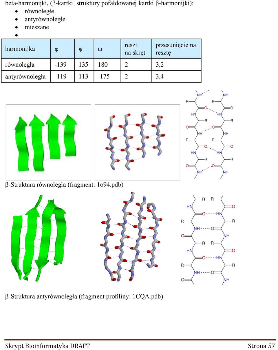 antyrównoległa -119 113-175 2 3,4 przesunięcie na resztę β-struktura równoległa (fragment:
