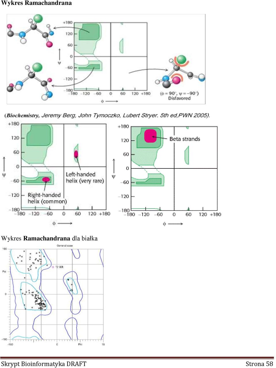 Bioinformatyka DRAFT