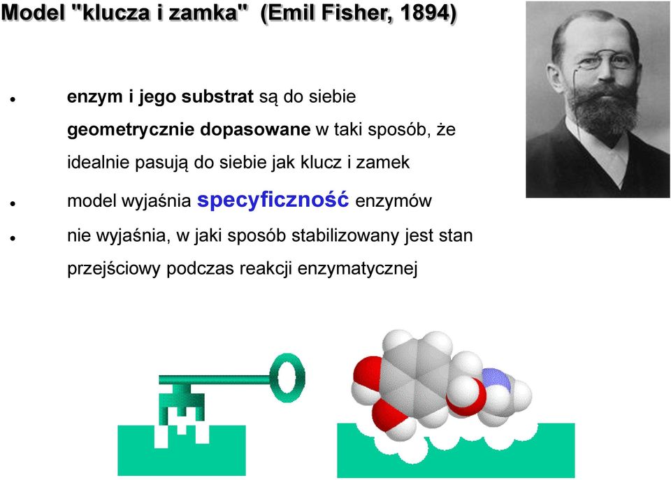 siebie jak klucz i zamek model wyjaśnia specyficzność enzymów nie