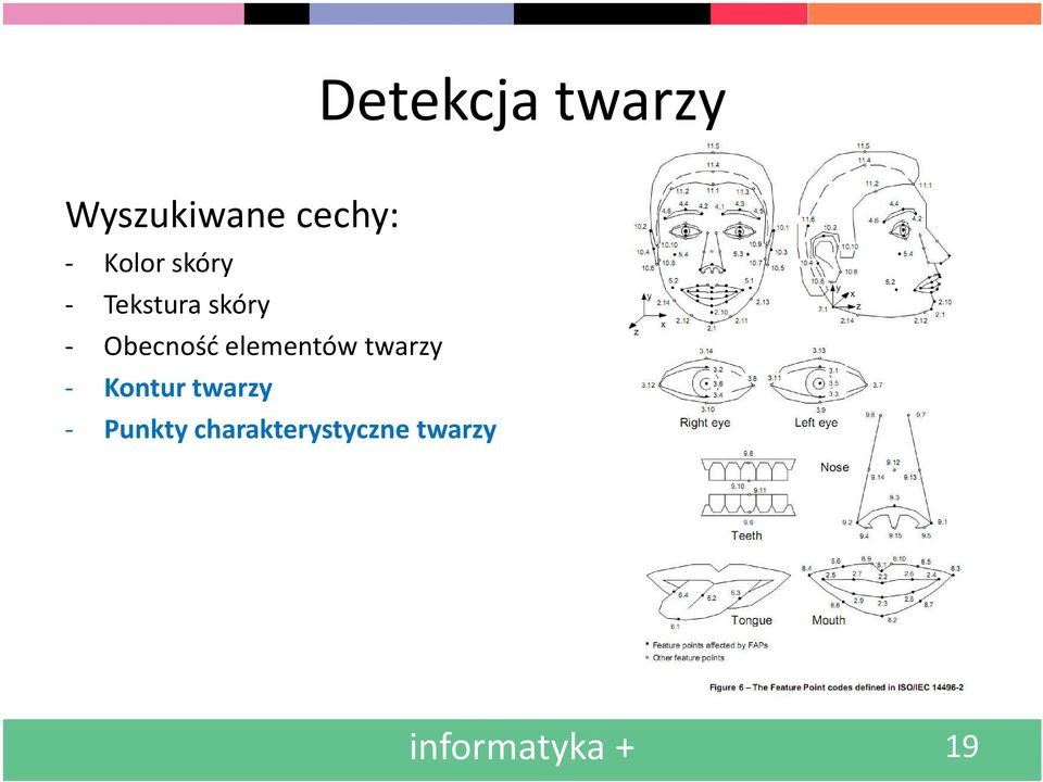 elementów twarzy - Kontur twarzy -