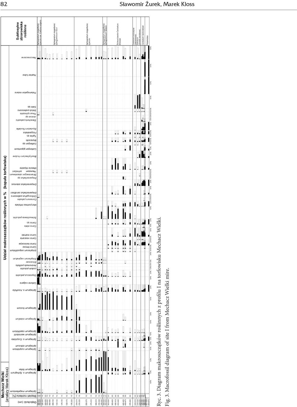 I na torfowisku Mechacz Wielki. Fig. 3.