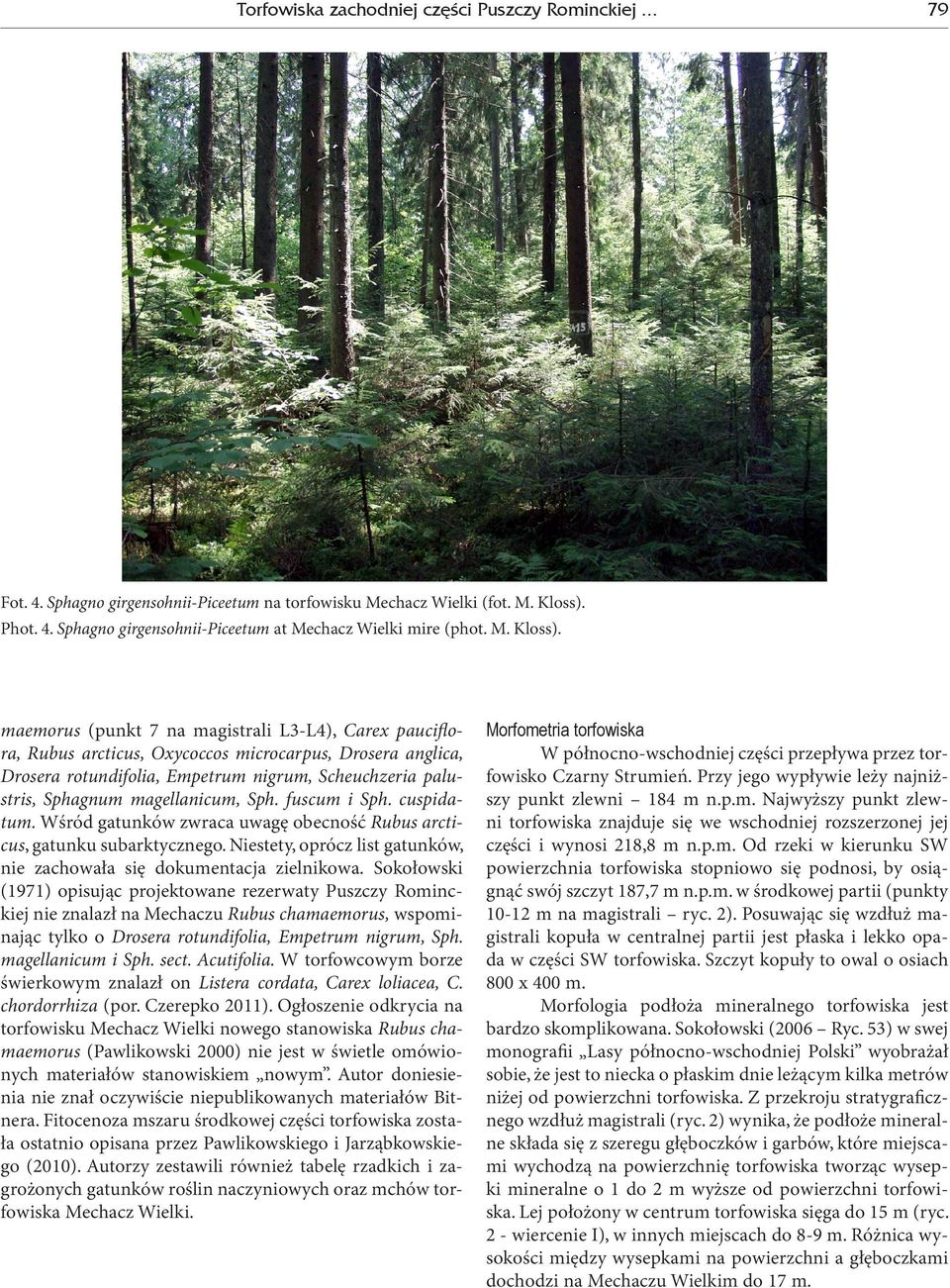 maemorus (punkt 7 na magistrali L3-L4), Carex pauciflora, Rubus arcticus, Oxycoccos microcarpus, Drosera anglica, Drosera rotundifolia, Empetrum nigrum, Scheuchzeria palustris, Sphagnum magellanicum,