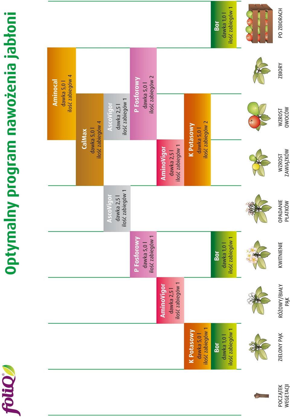 AminoVigor dawka 2,5 l K Potasowy K Potasowy ilość zabiegów 2 Bor dawka 1,0 l Bor dawka 1,0 l Bor dawka 1,0