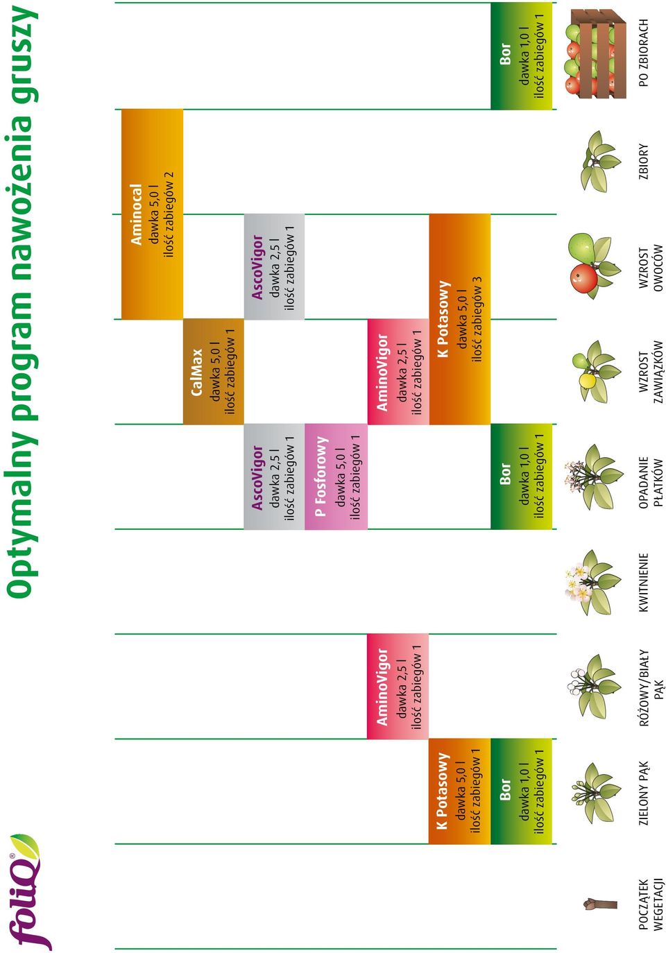 2,5 l K Potasowy K Potasowy ilość zabiegów 3 Bor dawka 1,0 l Bor dawka 1,0 l Bor dawka 1,0 l