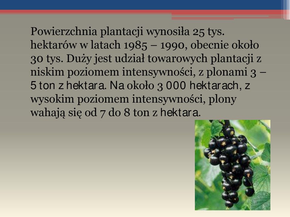 Duży jest udział towarowych plantacji z niskim poziomem intensywności, z